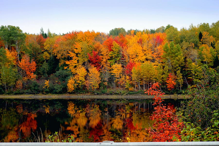 fall colours on the Miramichi Photograph by Laura Lea Comeau