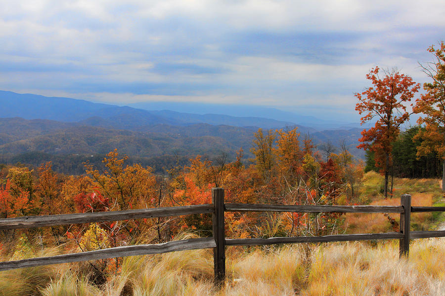 Fall Comes to the Mountains Photograph by Shari Jardina