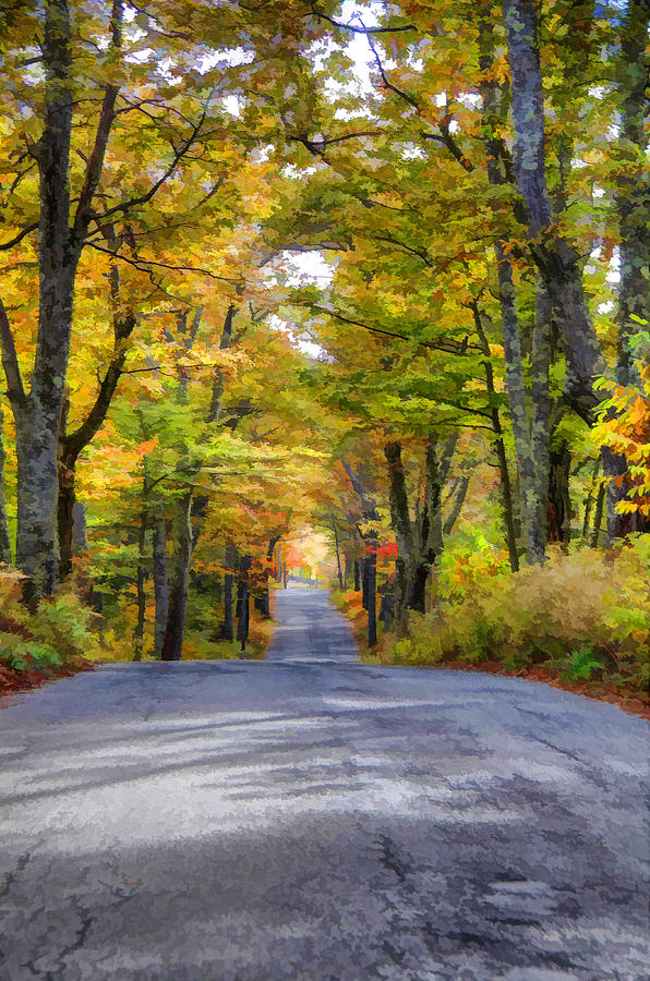 Fall Country Road Photograph by Donna Doherty