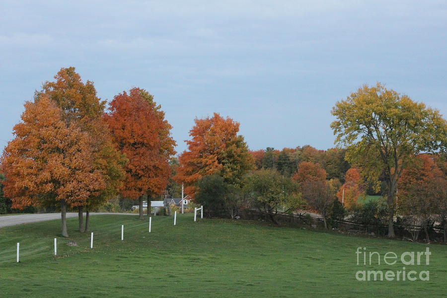Fall Countryside Photograph by Margaret Hamilton