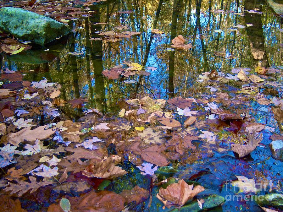 Fall Creek Photograph by Pamela Clements