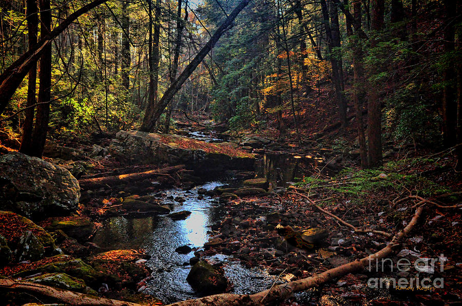 Fall Creek Photograph by Randy Rogers