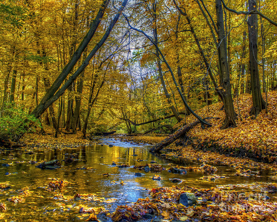 Fall Creek Photograph by Tim Buisman