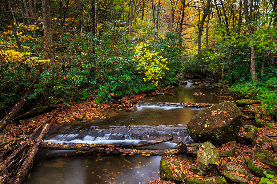 Fall Creek Photograph by Walt Baker | Fine Art America