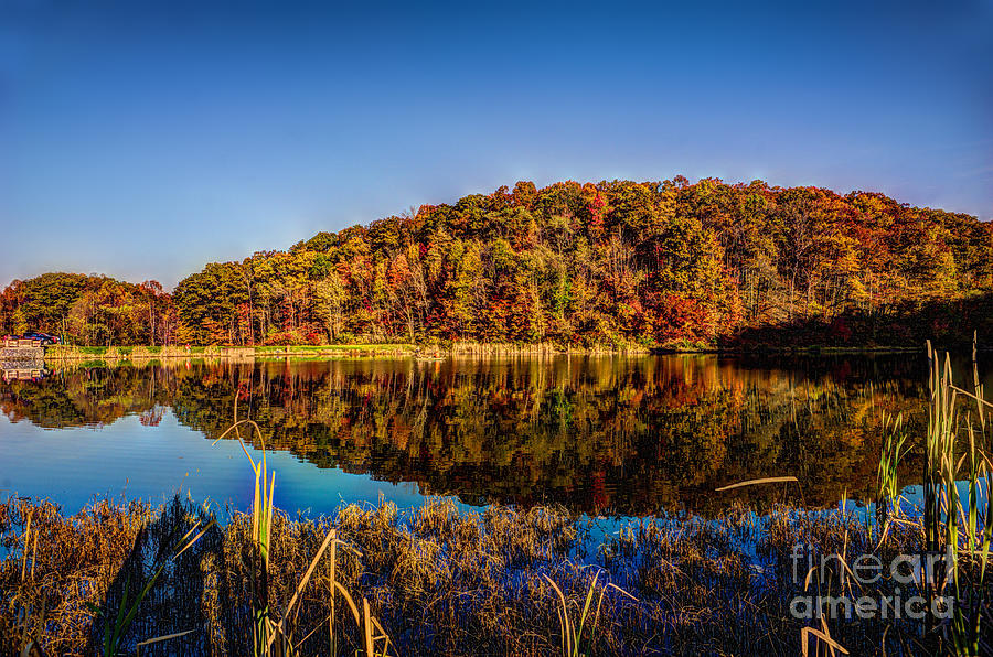 Fall day at the fishing pond Photograph by Dan Friend