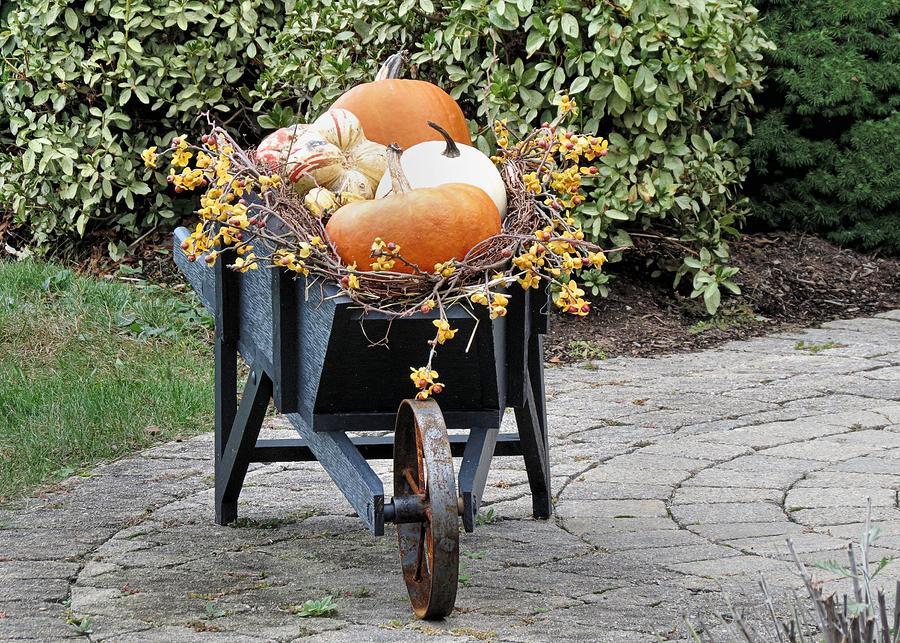 Fall Decorated Wheelbarrow  Photograph by Janice Drew