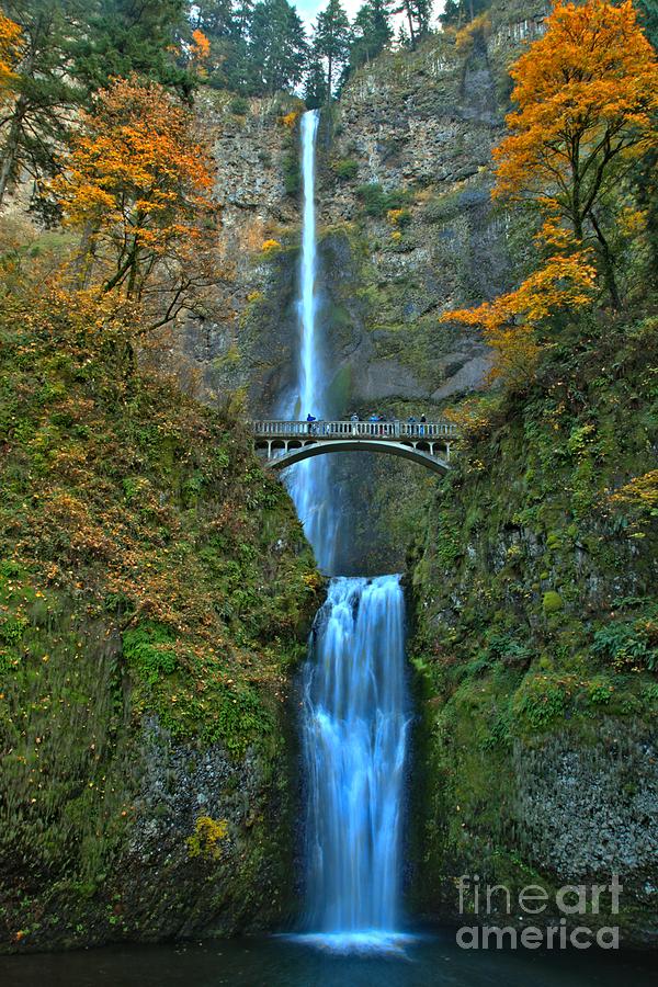 Fall Decorations At Multnomah Photograph by Adam Jewell