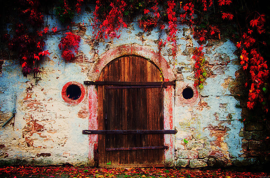 Fall Door Photograph by Ryan Wyckoff