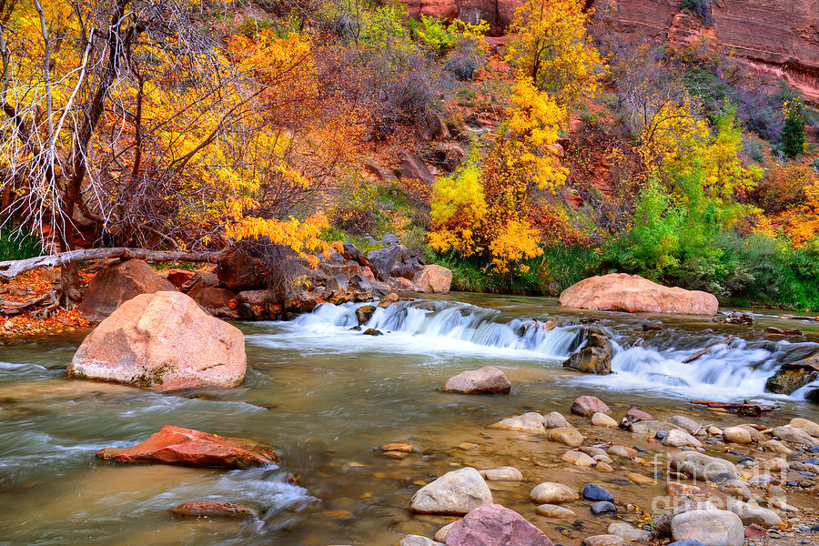 Fall Fairytale Photograph by Diana Vitoshka - Fine Art America