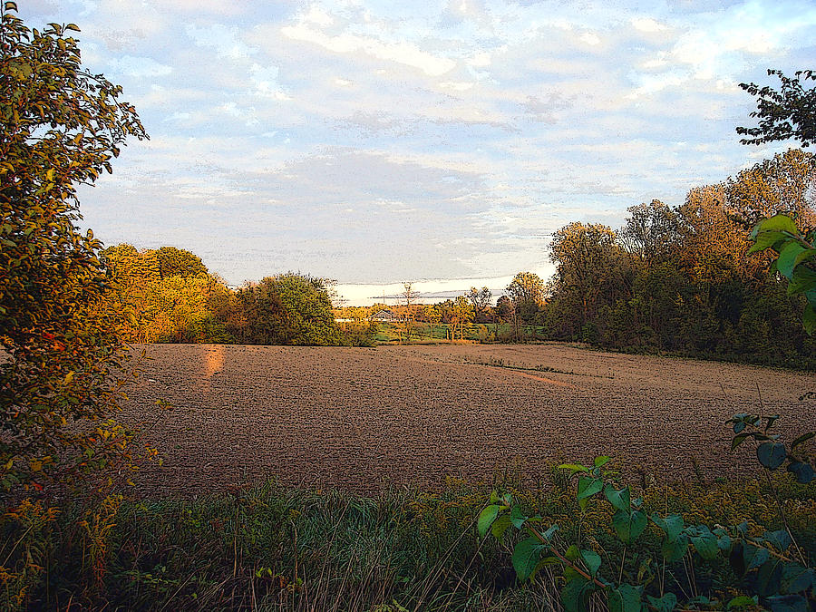 Fall Field Graphic Photograph by Tom DiFrancesca