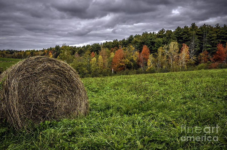 Fall Fields in Maine Photograph by Glenn Gordon