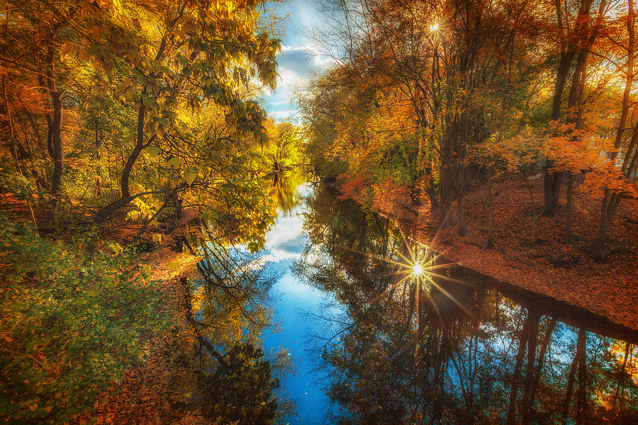 Fall filtered reflections Photograph by Sylvia J Zarco