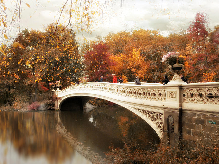 Fall Finale at Bow Bridge Photograph by Jessica Jenney