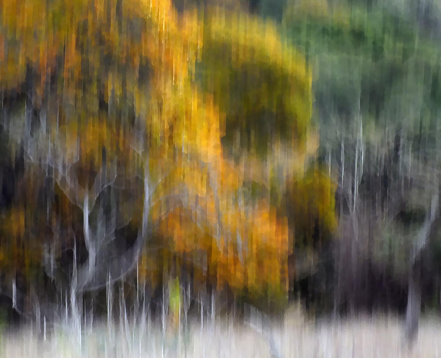 Autumn Colors Photograph - Fall Fling by Bill Morgenstern Autumn Colors Photograph - Fall Fling by Bill Morgenstern