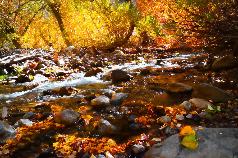 Fall Photograph - Fall Flow at McGee Creek by Lynn Bauer