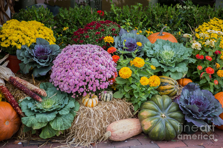Fall Flower and Pumpkin Display Photograph by Iris Richardson