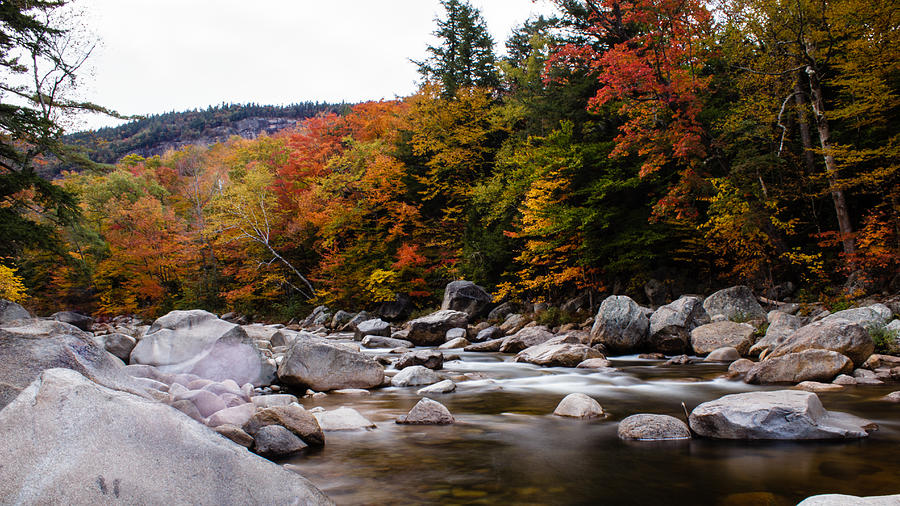 Fall Flowing Photograph by SAURAVphoto Online Store