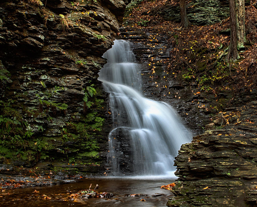 Fall Flows Photograph by Rob Dietrich