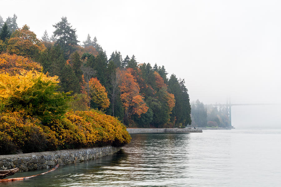 Fall Fog at Stanley Park Photograph by Michael Russell