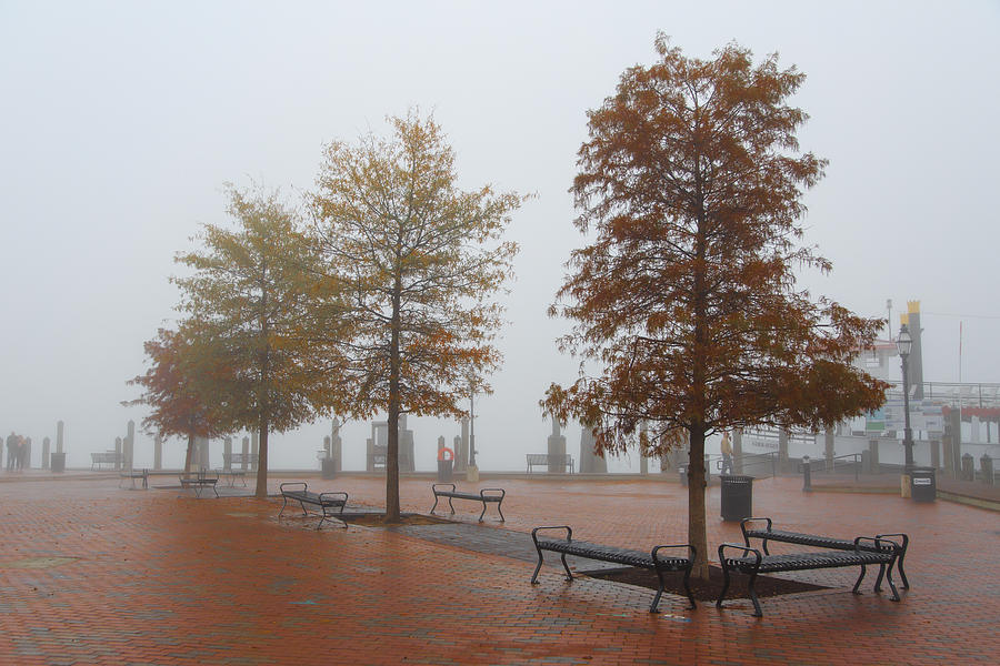 Fall Fog Photograph by Jennifer Casey