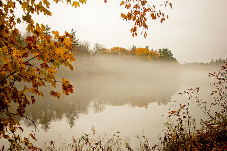 Fall Photograph - Fall foggy day  by Allan Millora