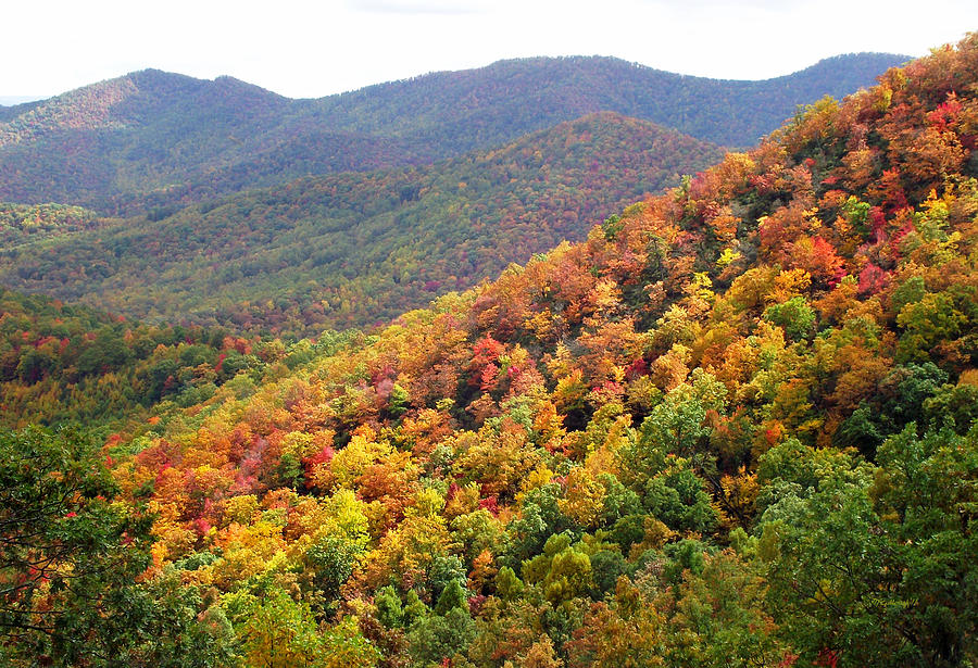 Fall Folage 2 along the Blueridge Photograph by Duane McCullough
