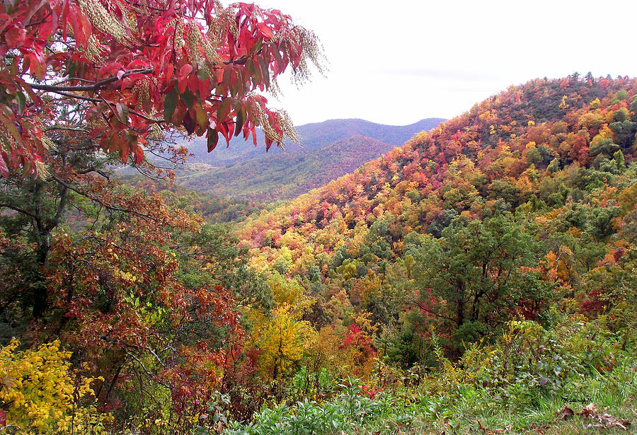 Fall Folage along the Blueridge Photograph by Duane McCullough