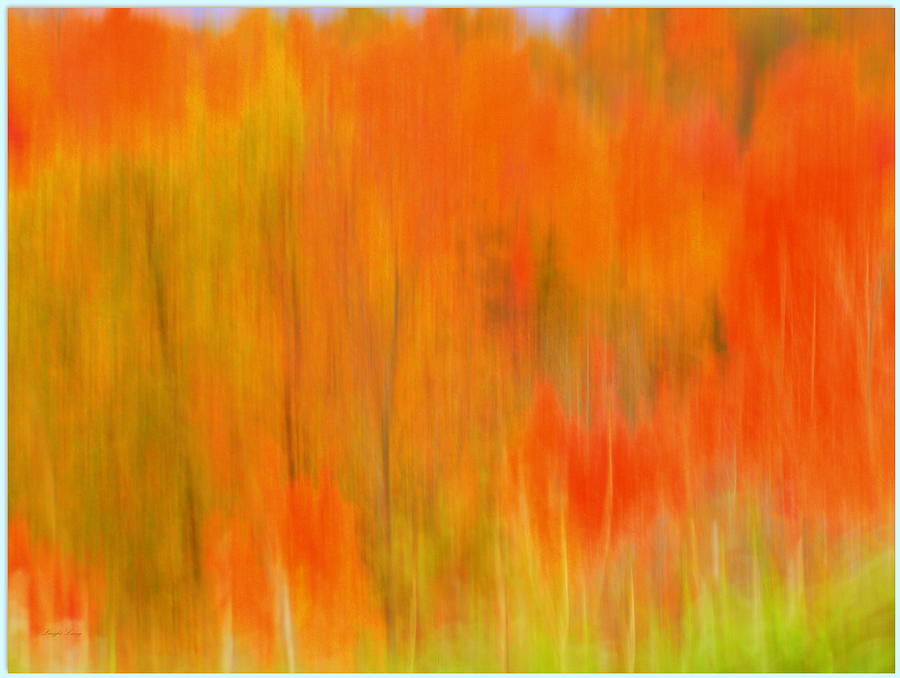 Fall Foliage Abstract Photograph by Lingfai Leung
