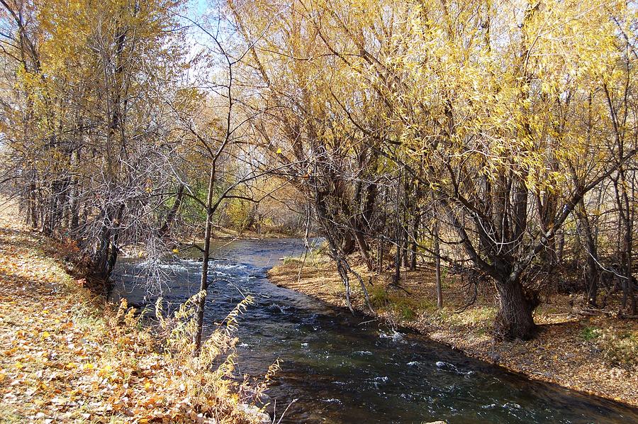 Fall Foliage Along Rapid Creek Photograph by Greni Graph
