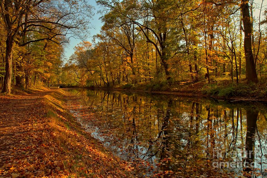 Fall Foliage Along The Delaware Canal Photograph by Adam Jewell