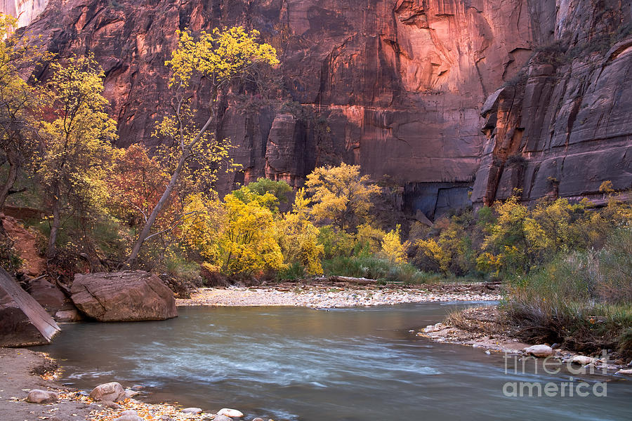 Fall Foliage along the Virgin River Photograph by Fred Stearns