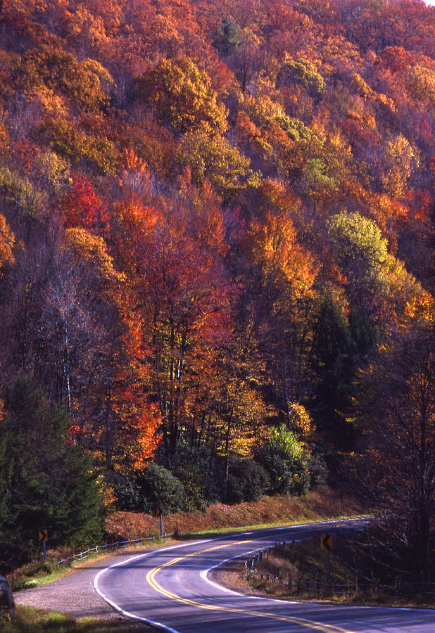 Fall foliage and curved mountain road PA Photograph by Blair Seitz