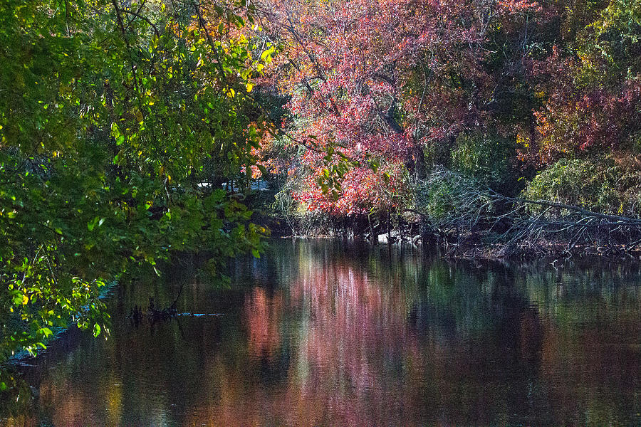 Fall Foliage at Nissequogue River Photograph by Susan Jensen