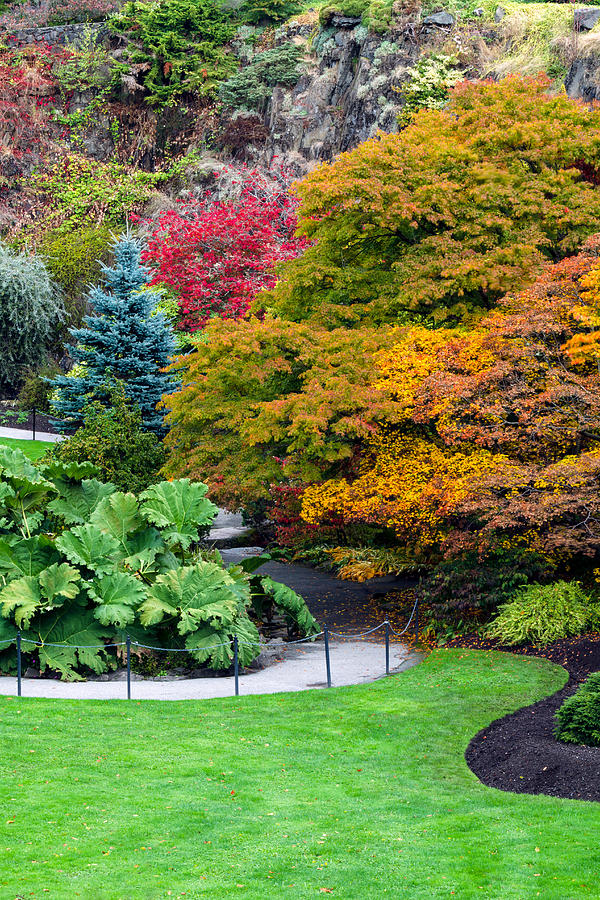 Fall Foliage at Queen Elizabeth Park Photograph by Michael Russell