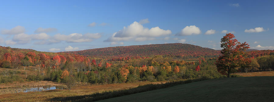 Fall Foliage Canaan Valley WV Photograph by Jack Nevitt