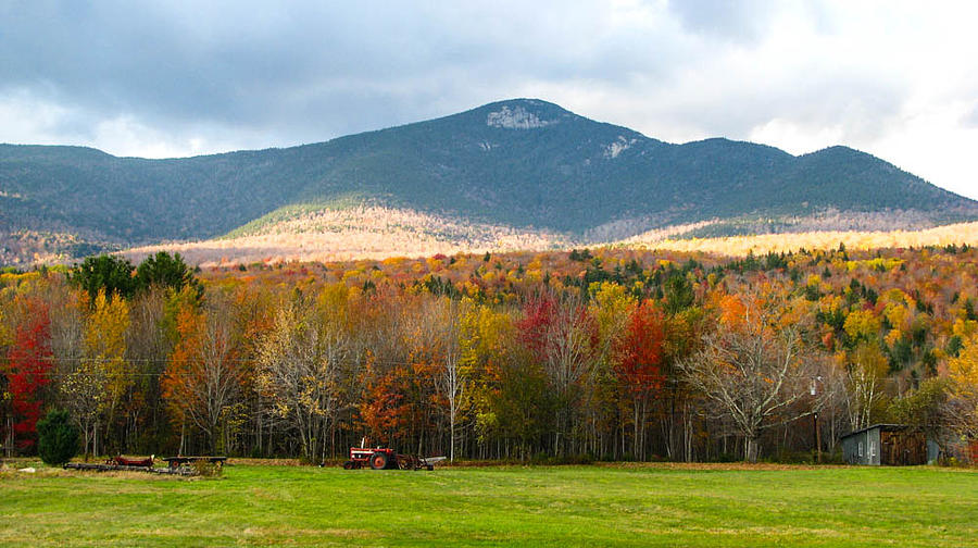 Fall Foliage Photograph by Christine Pilkovsky - Fine Art America