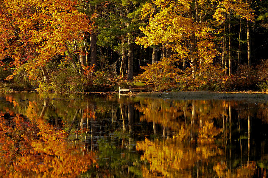 Fall Foliage Dock Photograph by Liz Mackney