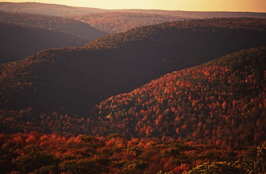 Fall foliage Endless Mountains Pennsylvania Photograph by Blair Seitz