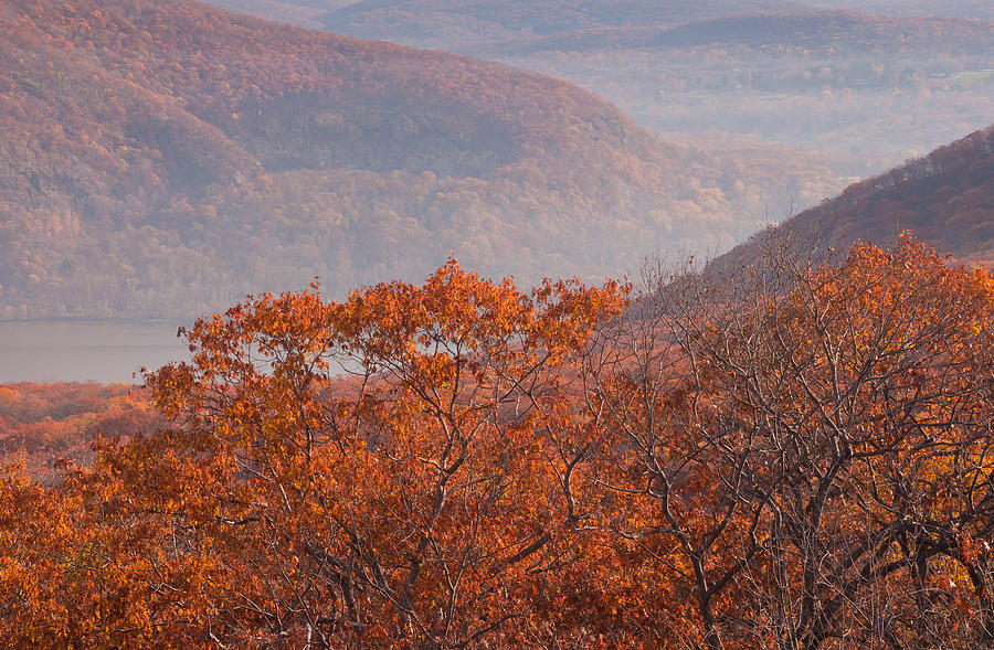 Fall Foliage in the Hudson Valley Photograph by Nancy De Flon