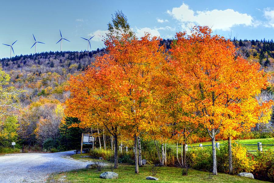 Fall Foliage in Vermont Photograph by Paul James Bannerman