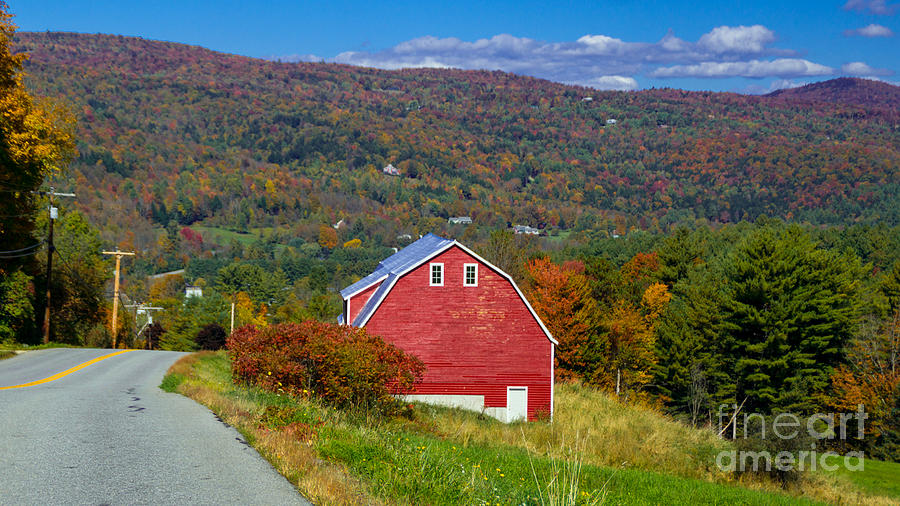 Fall Foliage. Photograph by New England Photography