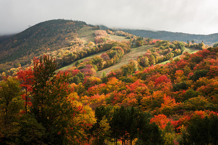 Fall Photograph - Fall foliage on Canon mountain NH by Jeff Folger