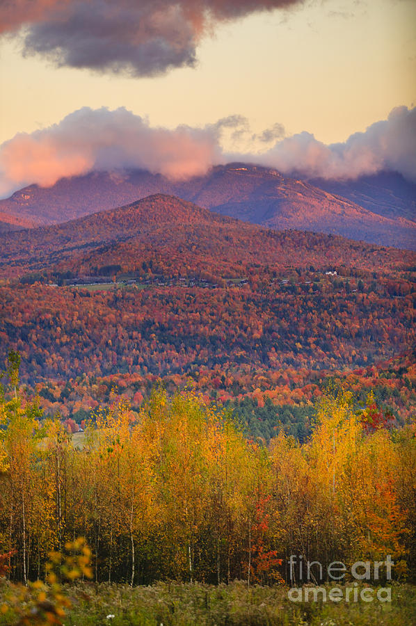 Fall foliage on Mt. Mansfield in Stowe Vermont USA Photograph by Don Landwehrle