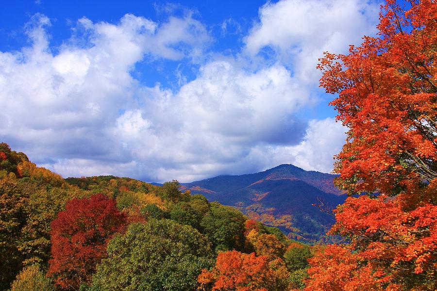 Fall Foliage On The Blue Ridge Photograph