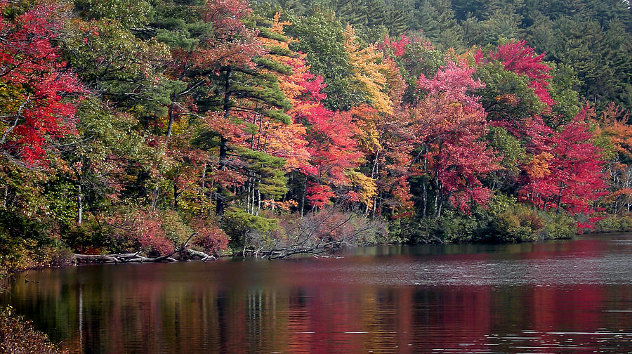 Fall Foliage Reflection Photograph by Laura Duhaime - Fine Art America