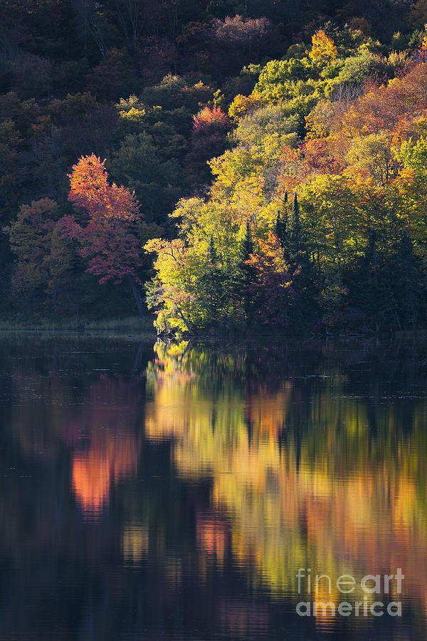 Fall Foliage Reflections Photograph by Alan L Graham