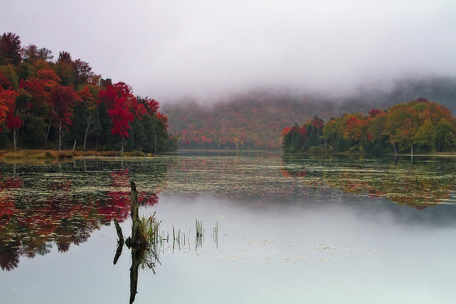 Fall Foliage Reflections in Northern Vermont Photograph by John Vose