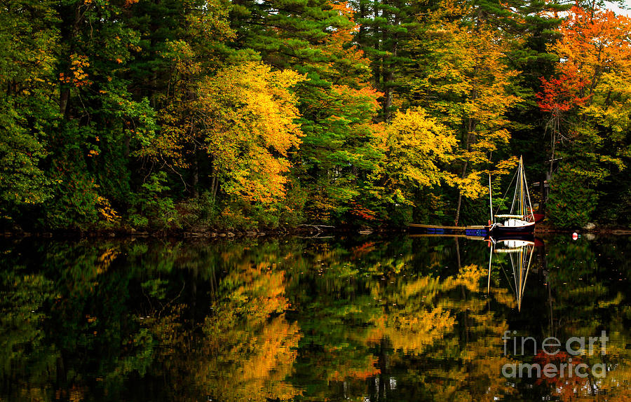 Fall Foliage Sail Boat Photograph by Brenda Giasson