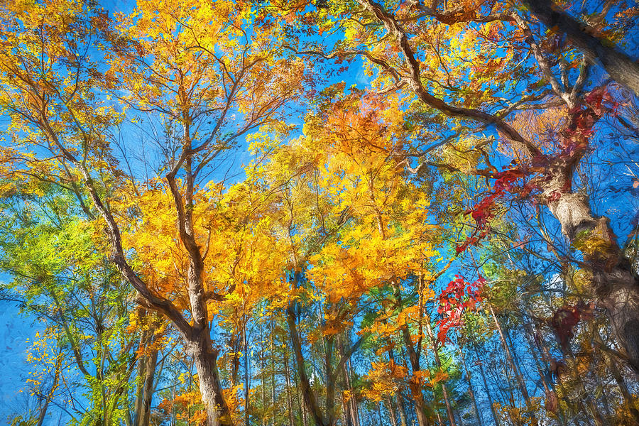 Fall Foliage Sussex County New Jersey Painted  Photograph by Rich Franco