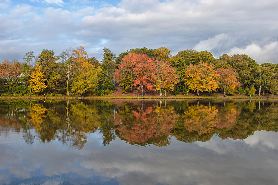 Lake Tomahawk Photograph - Fall Foliage Symmetry by Ben Shields